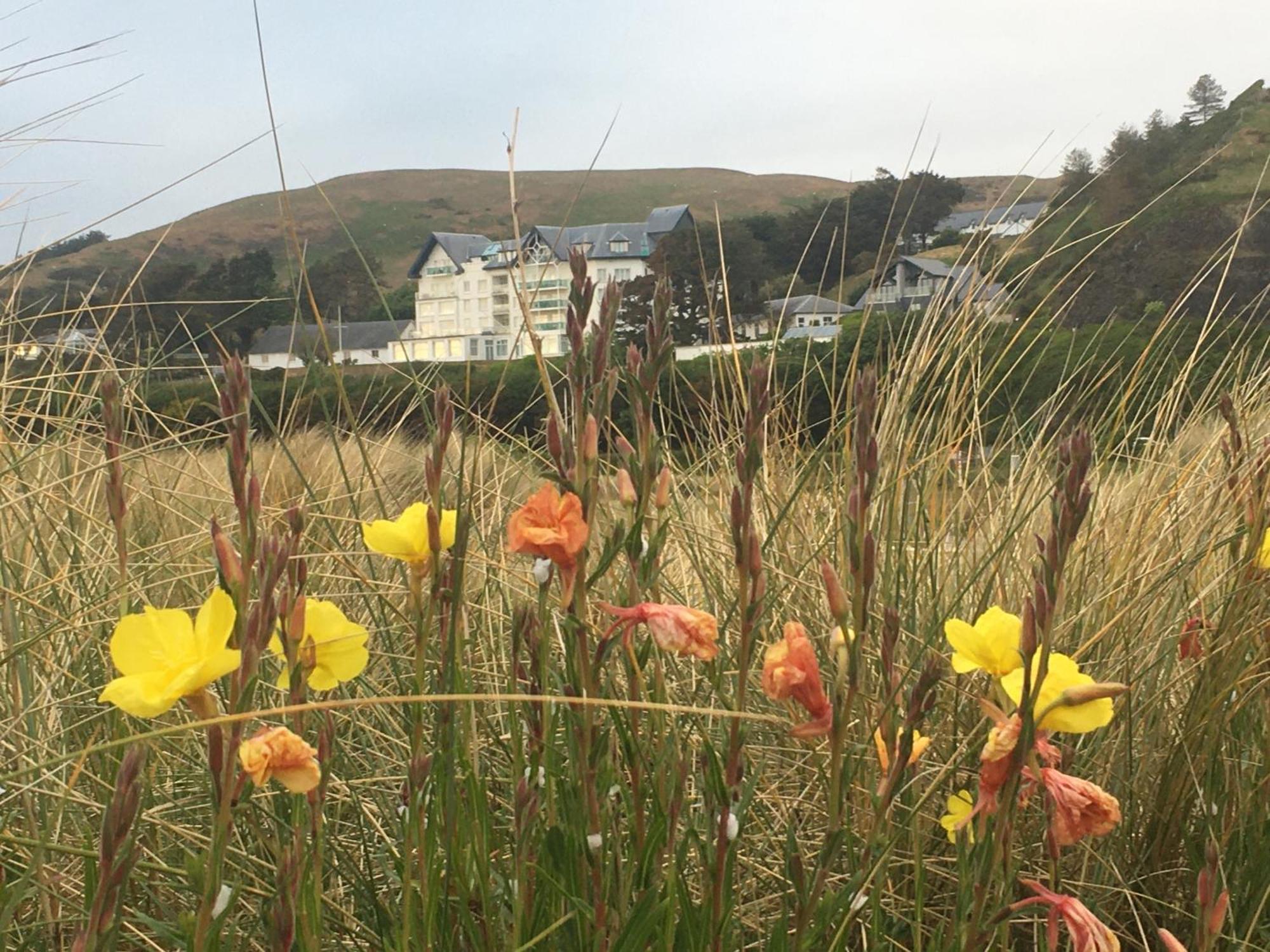Lovely Seafront 2 Bedroom Apartment 4 Aberdyfi Zewnętrze zdjęcie